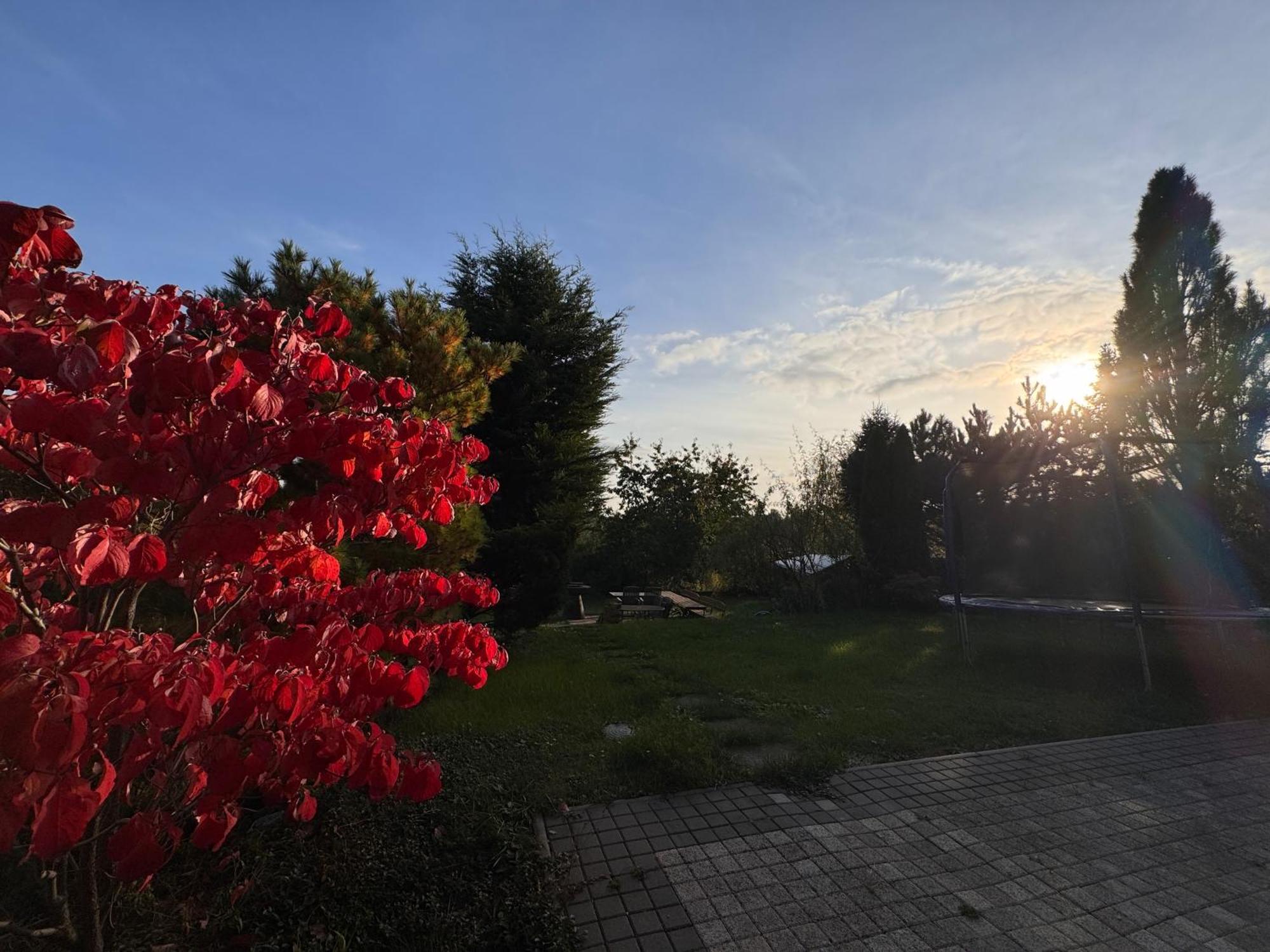 Diamondvilla, 4 Bedroom Apartment, Garden & Spa Prague Ngoại thất bức ảnh